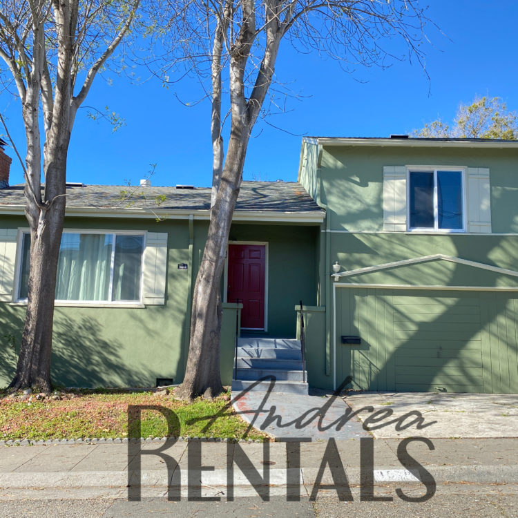 Roomy, bright split-level 3br/2ba home with a sunny, flat yard, just 2 blocks from North Berkeley BART and Monterey Market