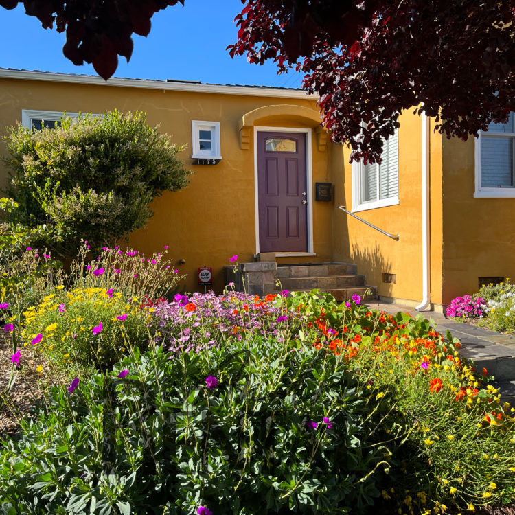 Pretty 1920’s 2 bed/1 bath Berkeley Bungalow with detached office is available June 1st.