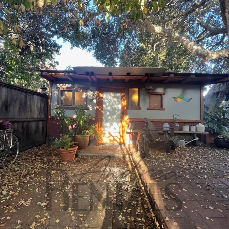 Beautiful and peaceful Rockridge ADU with shady yard and laundry, available December 1!
