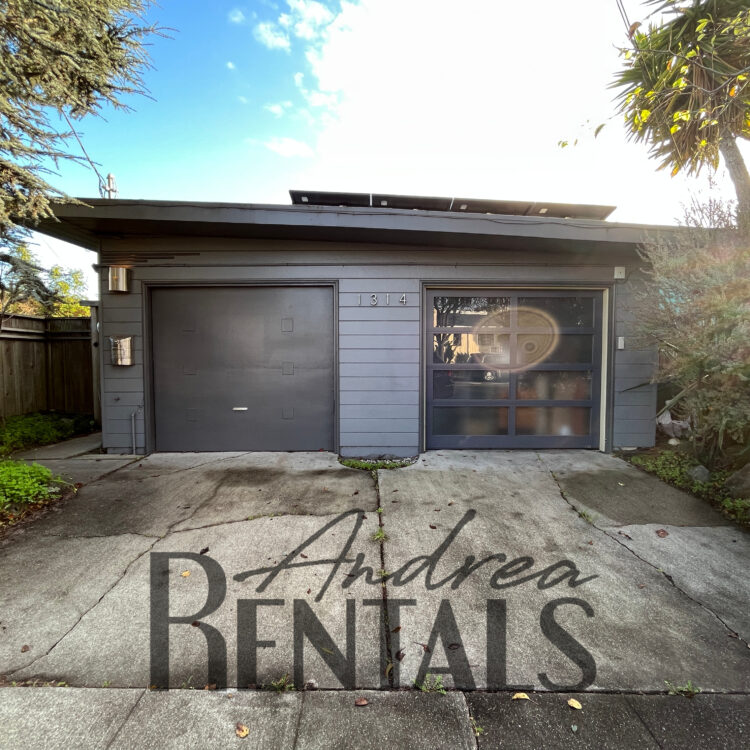 Beautiful Central Berkeley home with Lovely Backyard!